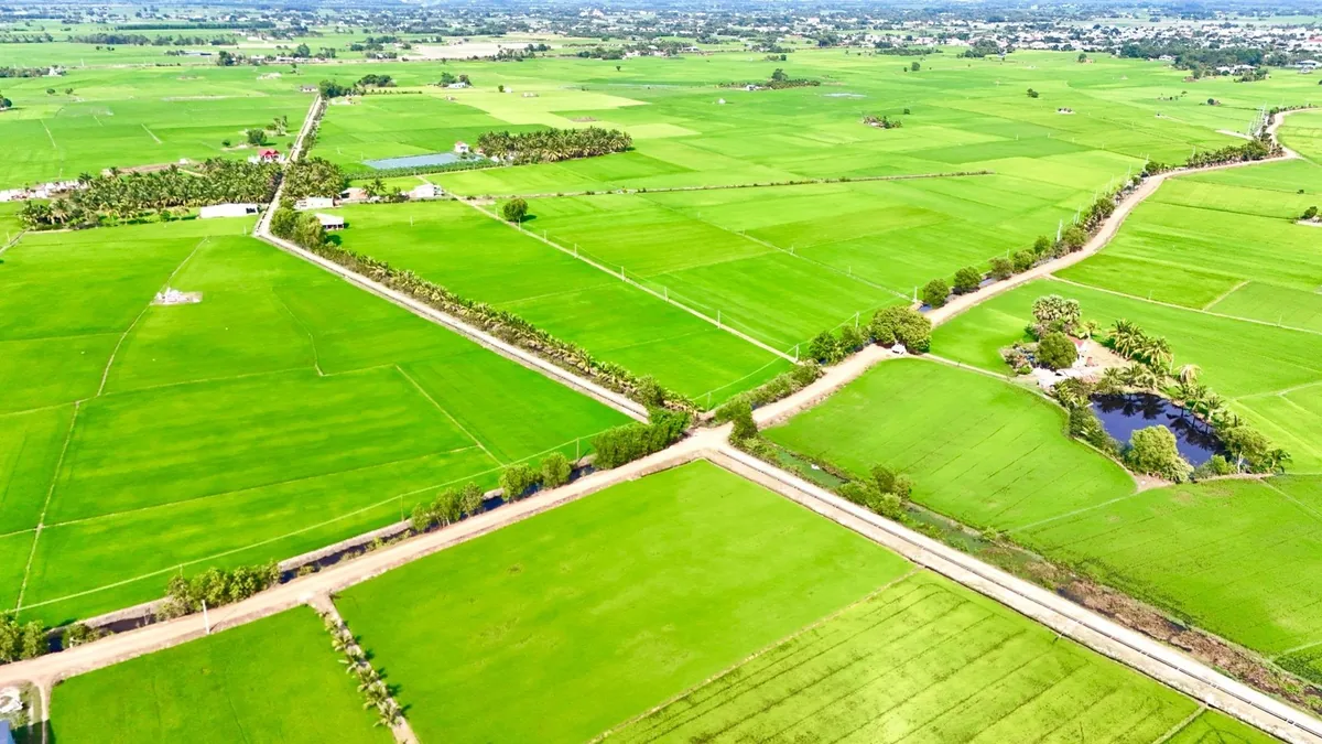 Miền Tây