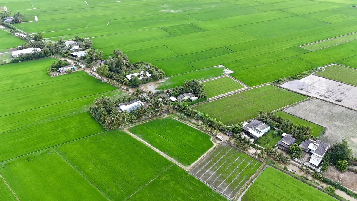 Mekong Delta